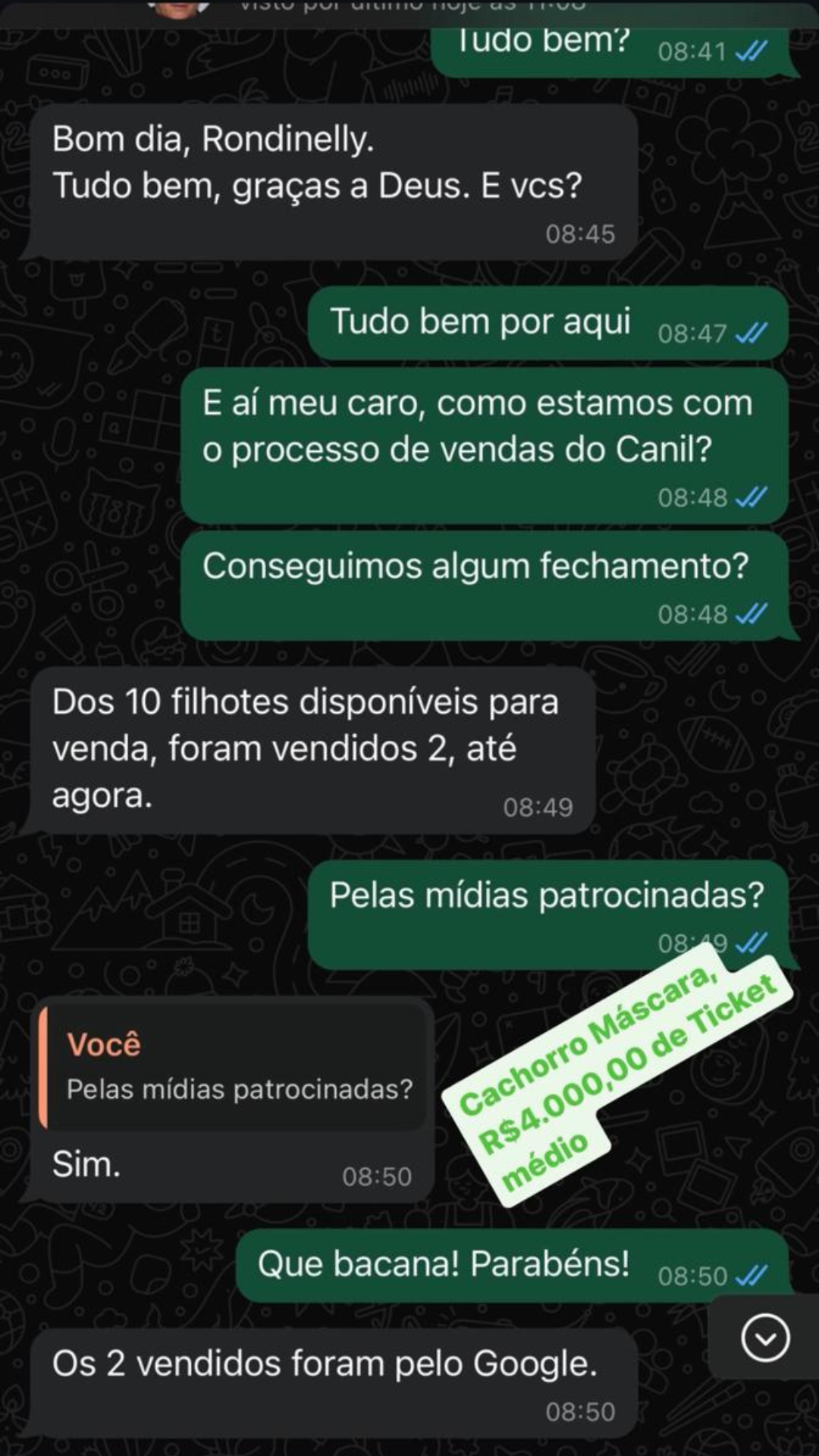 Design sem nome (12)